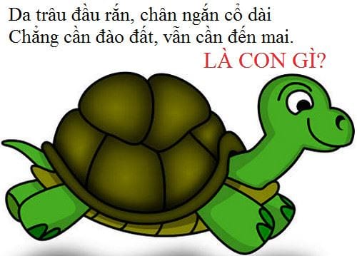 nhung cau do vui ve dong vat hay nhat