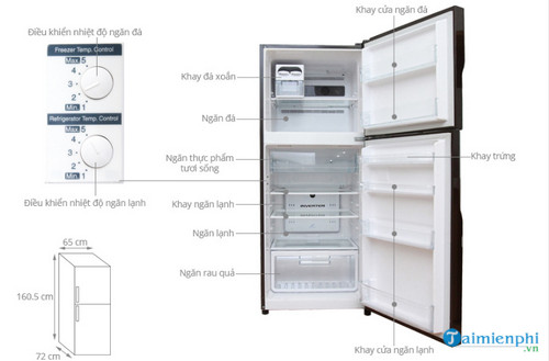 Kích thước các loại tủ lạnh phổ biến các hãng Samsung, Electrolux, Toshiba, LG...
