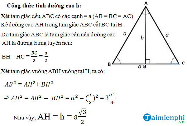 Làm thế nào để tăng chiều cao của một hình tam giác