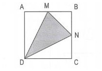Các dạng toán tính diện tích các hình lớp 5