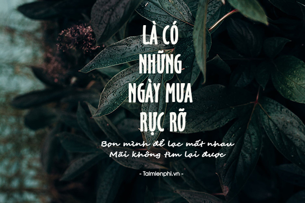 Nhung hinh anh buon ve cuoc song
