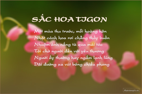 tho hay cuoc song