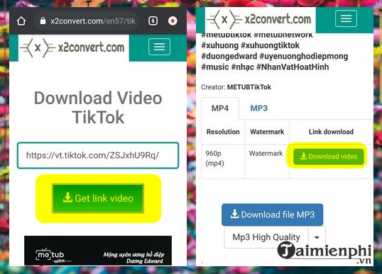 Download TikTok videos