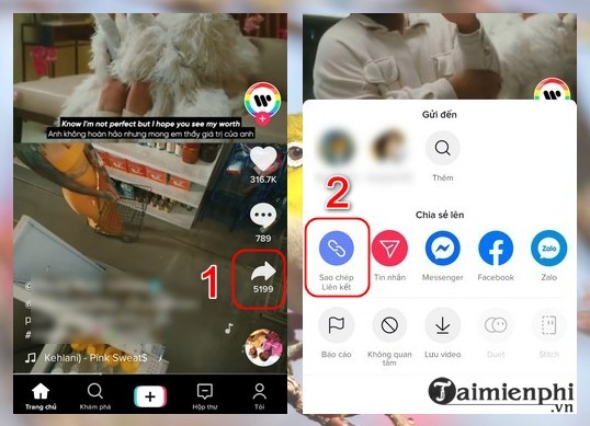 Download TikTok videos without logo for iPhone