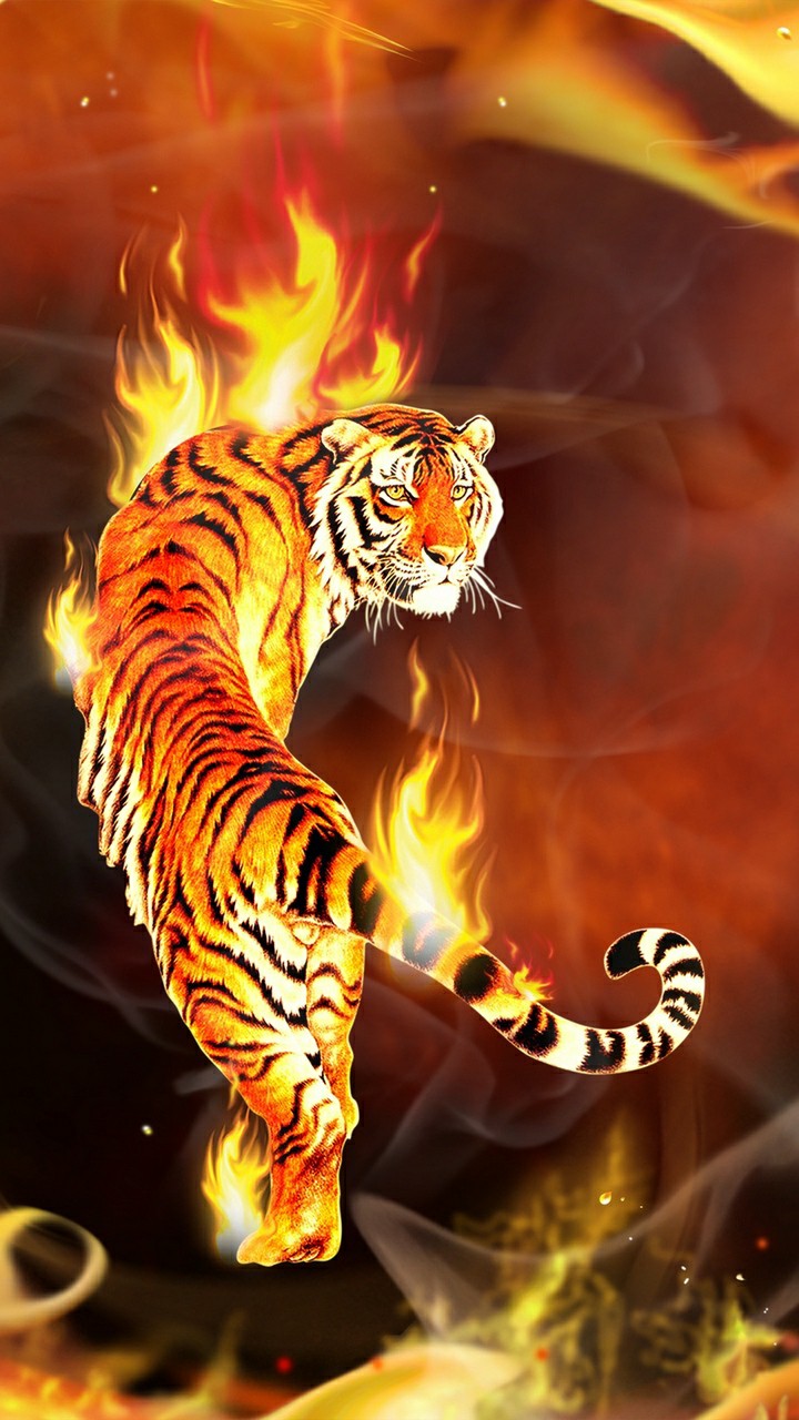 Hình nền hổ 3D cực đẹp cho điện thoại  Con hổ Hình vẽ động vật Động vật