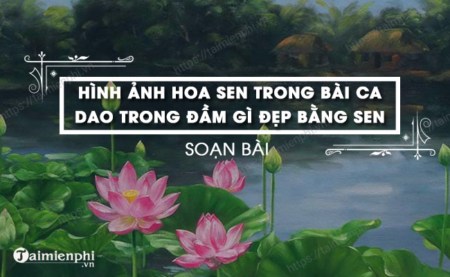Hoa sen là loài hoa mang đậm nét văn hóa của người Việt, tượng trưng cho sự thanh cao, tinh khiết. Hình ảnh hoa sen chắc chắn sẽ khiến bạn cảm thấy bình yên và thư thái.