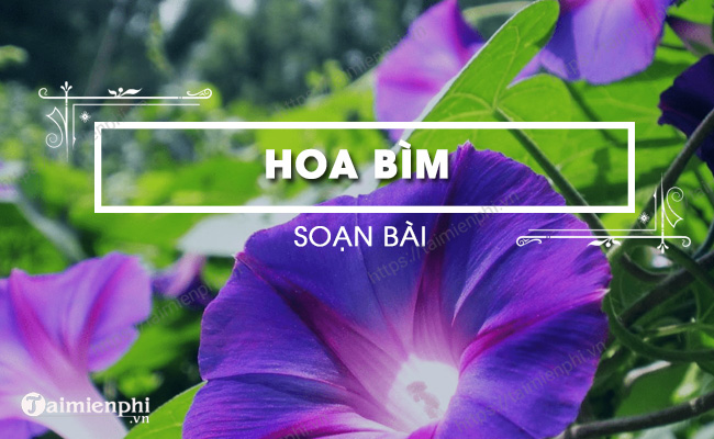 Bai tho Hoa bim