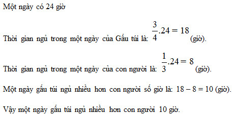 giai toan lop 6 trang 69 70 tap 2 sach canh dieu 9