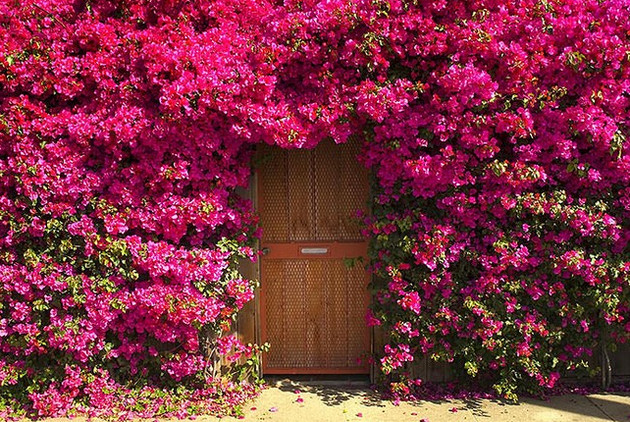Hinh anh chao thang 4 Hello April ruc ro