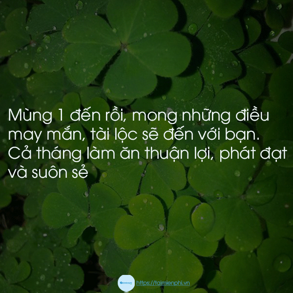 Hinh anh dep tức thì mung 1 dau thang may man kem loi chuc nó nghia