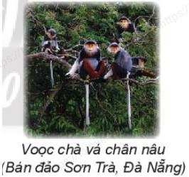 Toan lop 3 trang 73