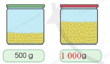 Giải bài tập trang 100, 101 SGK Toán 3 Tập 2, sách Cánh Diều 25 giai bai tap trang 100 101 sgk toan lop 3