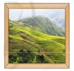 Giải bài tập trang 100, 101 SGK Toán 3 Tập 2, sách Cánh Diều 19 vo bai tap toan lop 3 trang 100 tap 2