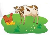 Vo bai tap Toan lop 3 tap 2 trang 32 33