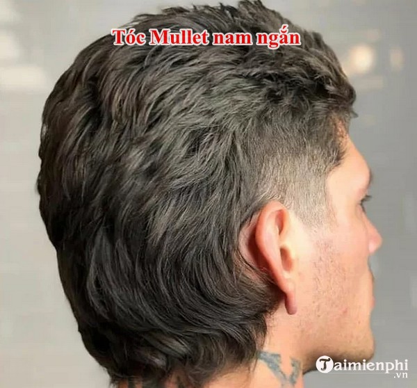 Toc mullet nam ngan