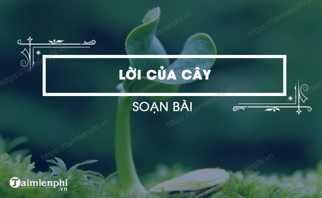  Giao an van 7 Chan troi sang tao bai loi cua cay