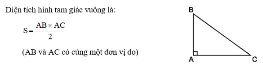 Vo bai tap Toan lop 5 tap 1 trang 106 107 108