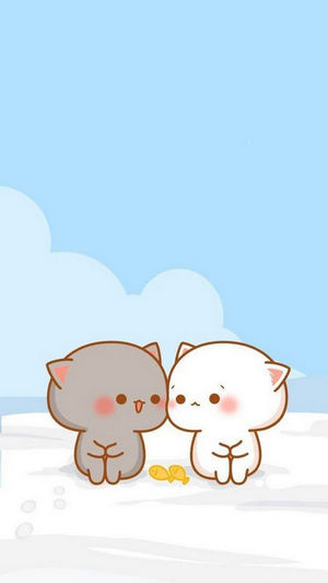 hinh meo ngau