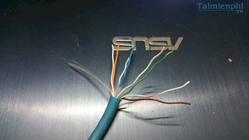Cách bấm dây mạng nối 2 switch