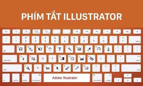 Phím tắt Adobe illustrator, thao tác illustrator tốc độ hơn