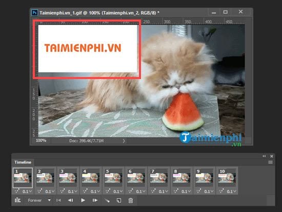 Cách ghép 2 ảnh GIF thành 1