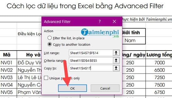 Cách lọc dữ liệu trong Excel bằng Advanced Filter