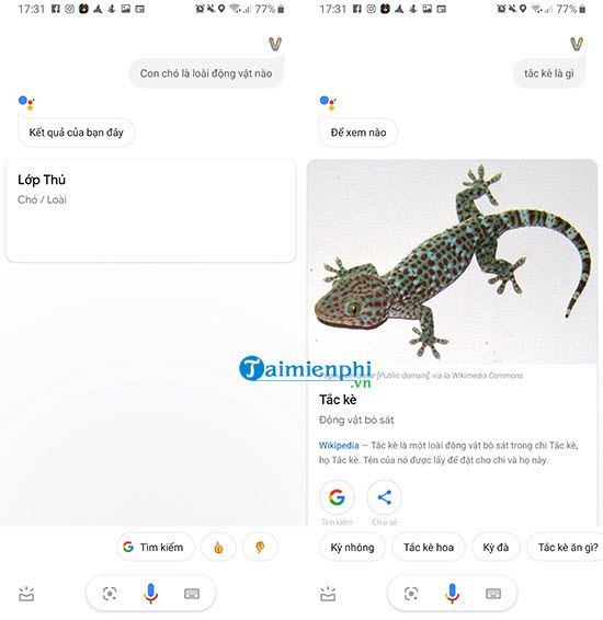 Lệnh Google Assistant tiếng Việt phổ biến, hữu ích, thêm câu lệnh