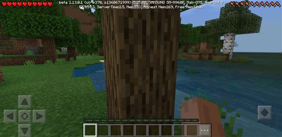 cach tao server nhập minecraft pe 18