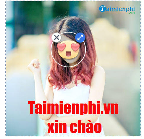 Cách chèn nhãn Sticker, thêm hình ảnh ngộ nghĩnh vào ảnh đăng Facebook