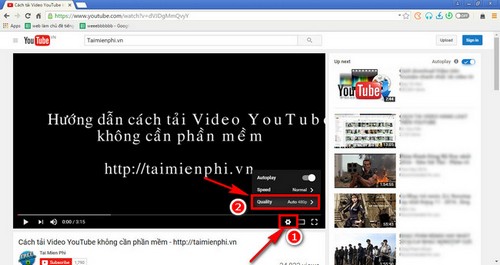 download youtube videos on torch browser