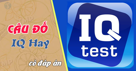 cau do iq hay co dap an