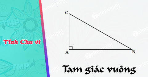 Tính chu vi tam giác vuông, công thức và ví dụ minh họa